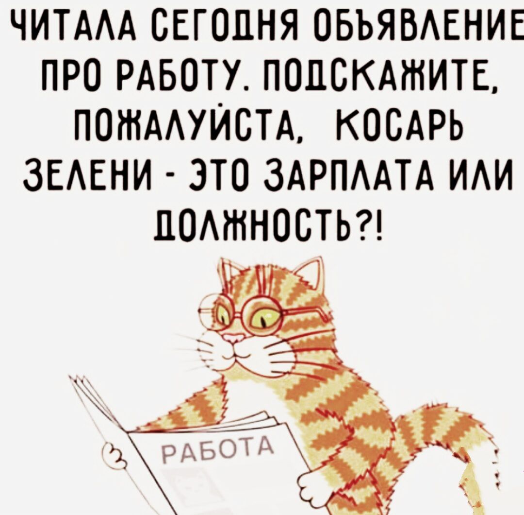 ЧИТААА СЕГОДНЯ ОБЪЯВАЕНИЕ ПРО РАБОТУ ПОДСКАЖИТЕ ПОШААУИСТА КОСАРЬ ЗЕАЕНИ ЭТО ЗАРПААТА ИАИ ЦОАШНОСТЬ