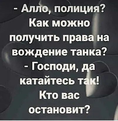 Алгіо полиция Как можно получить права на вождение танка Господи а катайтесь тэ Кто вас остановит