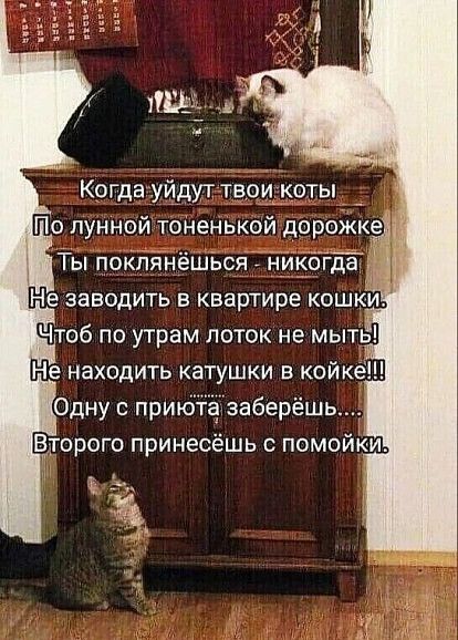 Когда уй_дут твоцкоты _ По лунной тоненький дорожкам Ты пикпянёшься _ Никбідад Не заводить в квартире кошки Чтоб по утрам поток не мыть Не находить катушки в койке Одну с приюта заберёш Второго принесёшь с помойки