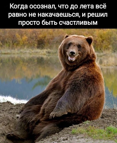 Когда осознал что до лета всё равно не накачаешься и решил просто быть счастливым