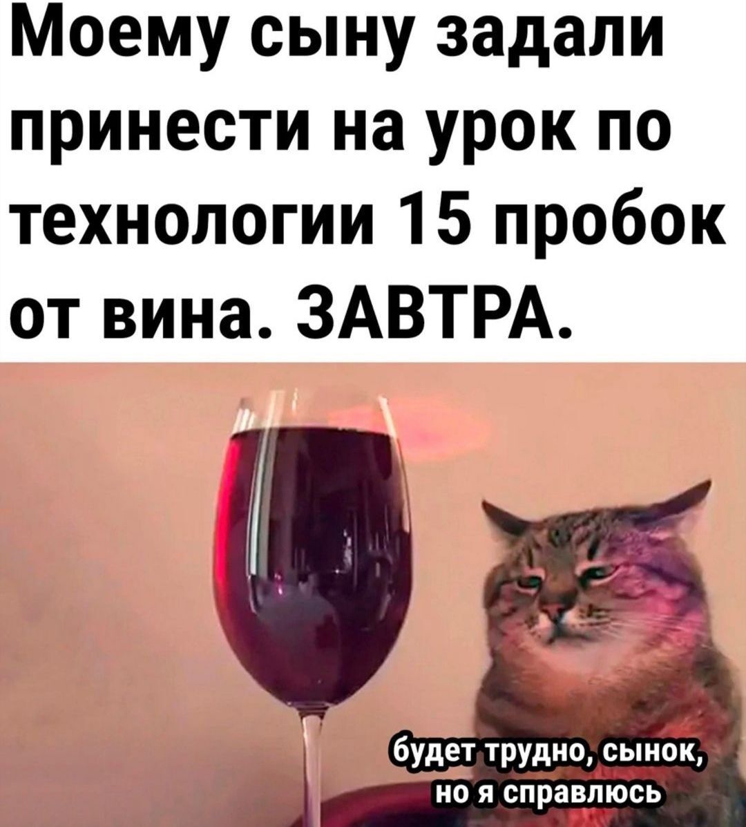 Моему сыну задали принести на урок по технологии 15 пробок от вина ЗАВТРА _ будет трудно вышли1 на я справлюсь