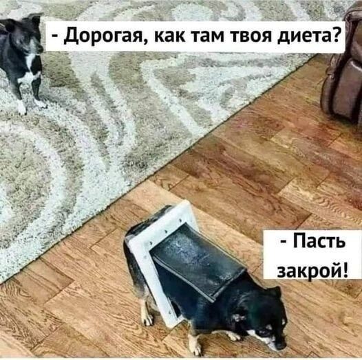 Пасть закрой_