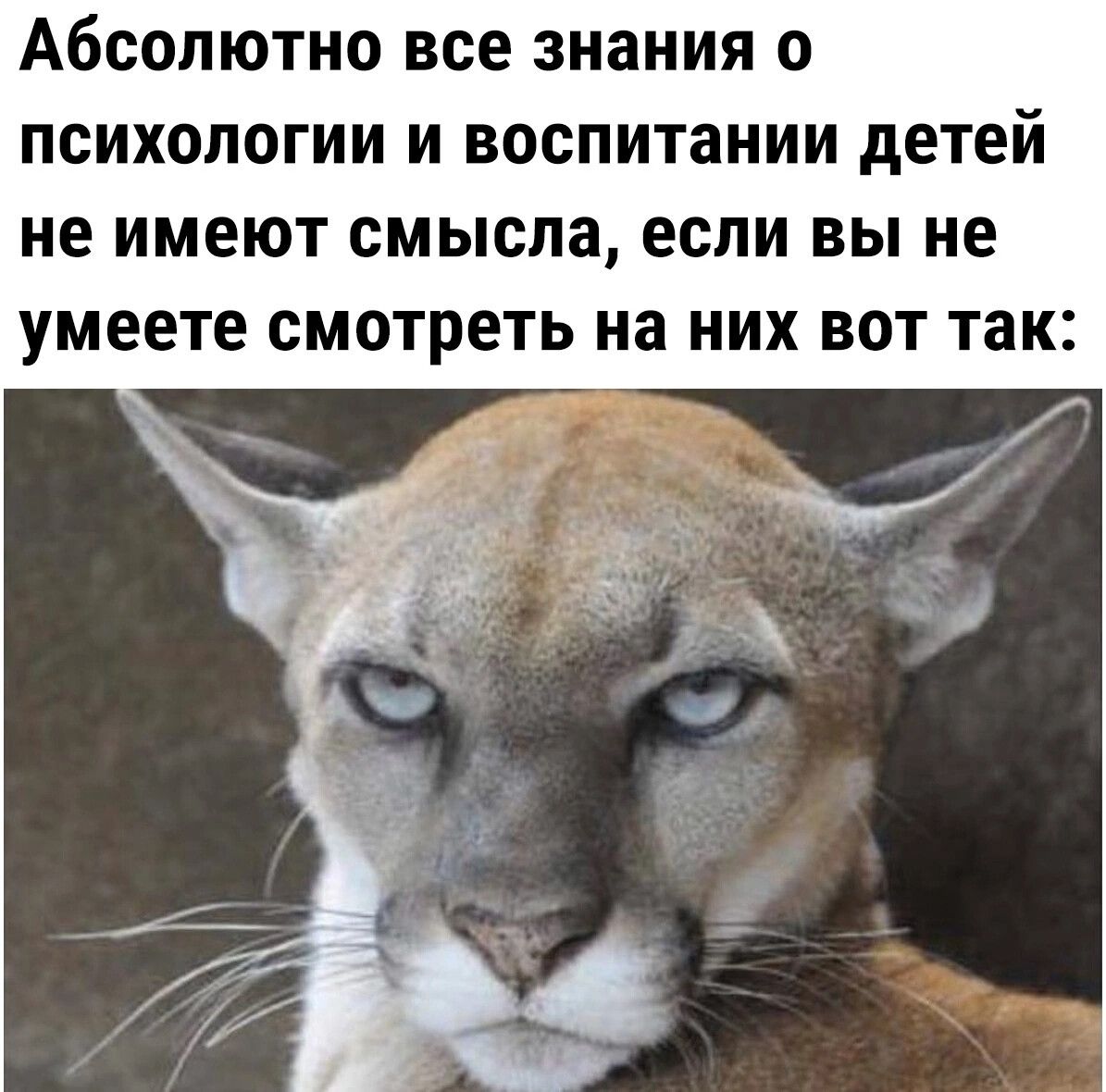 АБСОЛЮТНО все ЗНЗНИЯ О ПСИХОЛОГИИ И воспитании детей не имеют смысла если ВЫ не умеете смотреть на НИХ ВОТ ТЗК