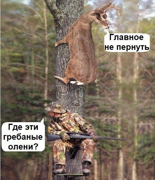 Где эти гребаные