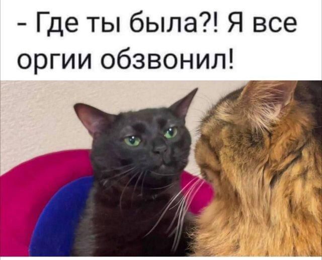 Где ты была Я все оргии обзвонил 45