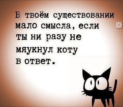 В твоём существовании мало смысла если ты ни разу не мяукнул коту в ответ Ь