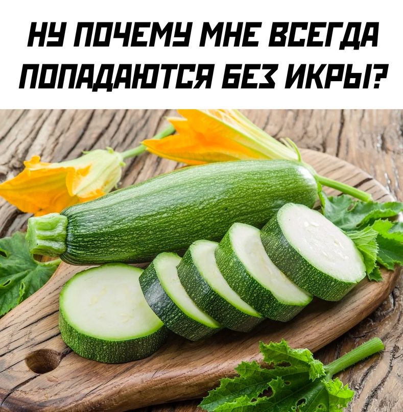 НН ППЧЕМН МНЕ ВЕЕГДП ПППдддШТПЯ БЕЗ ИКРЫ ДУМ 1 а