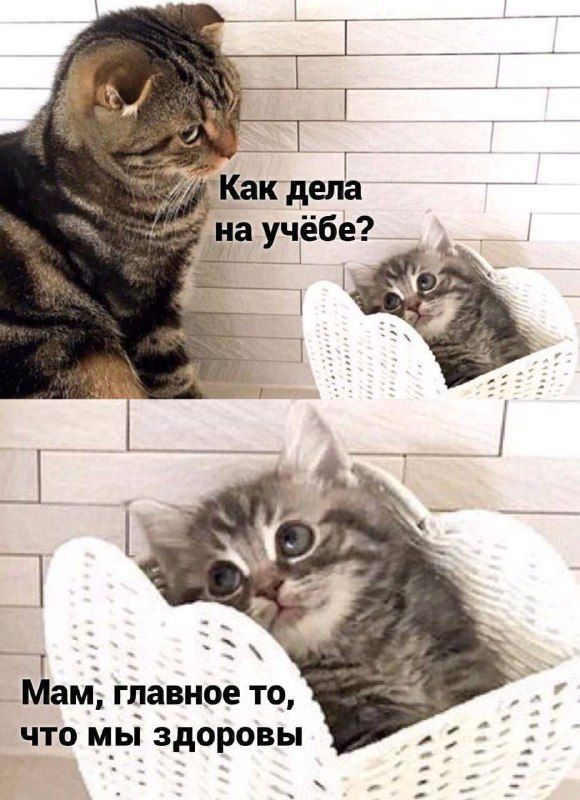 _ Мам гдавное то что мы здоровы
