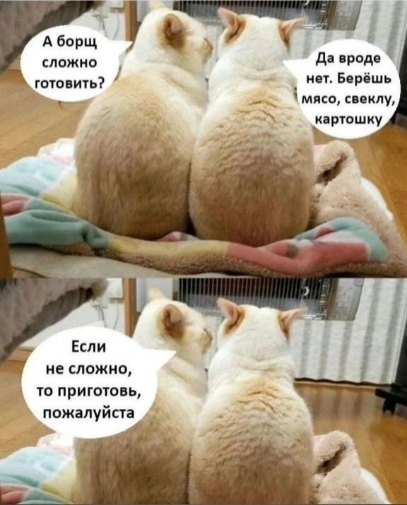 А борщ сложив готовит несложно А то притоком пожалуйста Ун д род ип Борпшь мт сппклу црошку