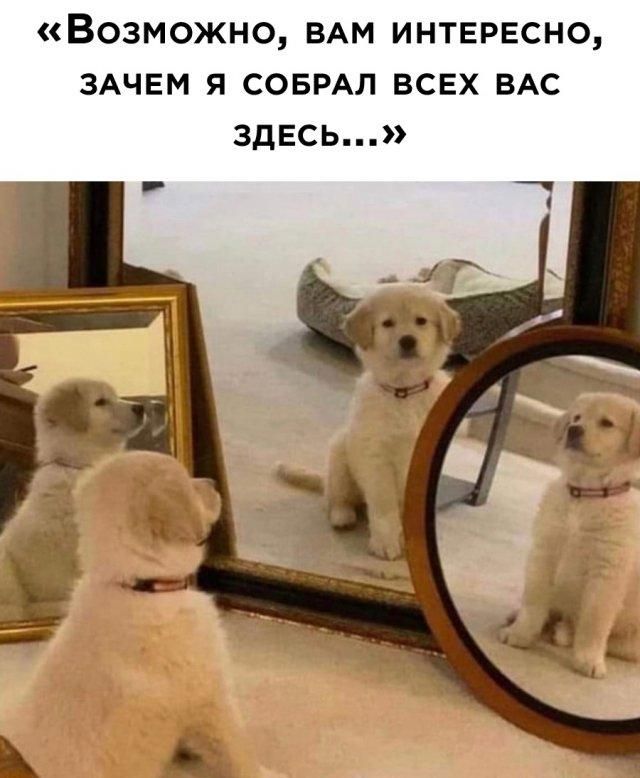 Возможно ВАМ интересно ЗАЧЕМ я совмл всех ВАС здесь