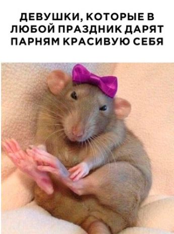 дЕВУШКИ КОТОРЫЕ В ЛЮБОЙ ПРАЗДНИК дАРЯТ ПАРНЯМ КРАСИВУЮ СЕБЯ