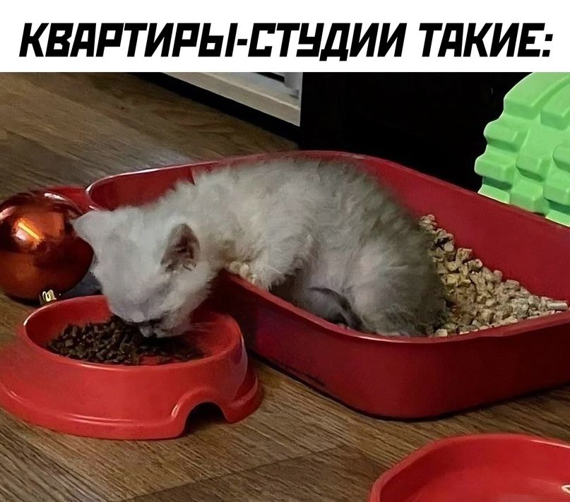 КВДРТИРЫ ЕТНДИИ ТдКИЕ