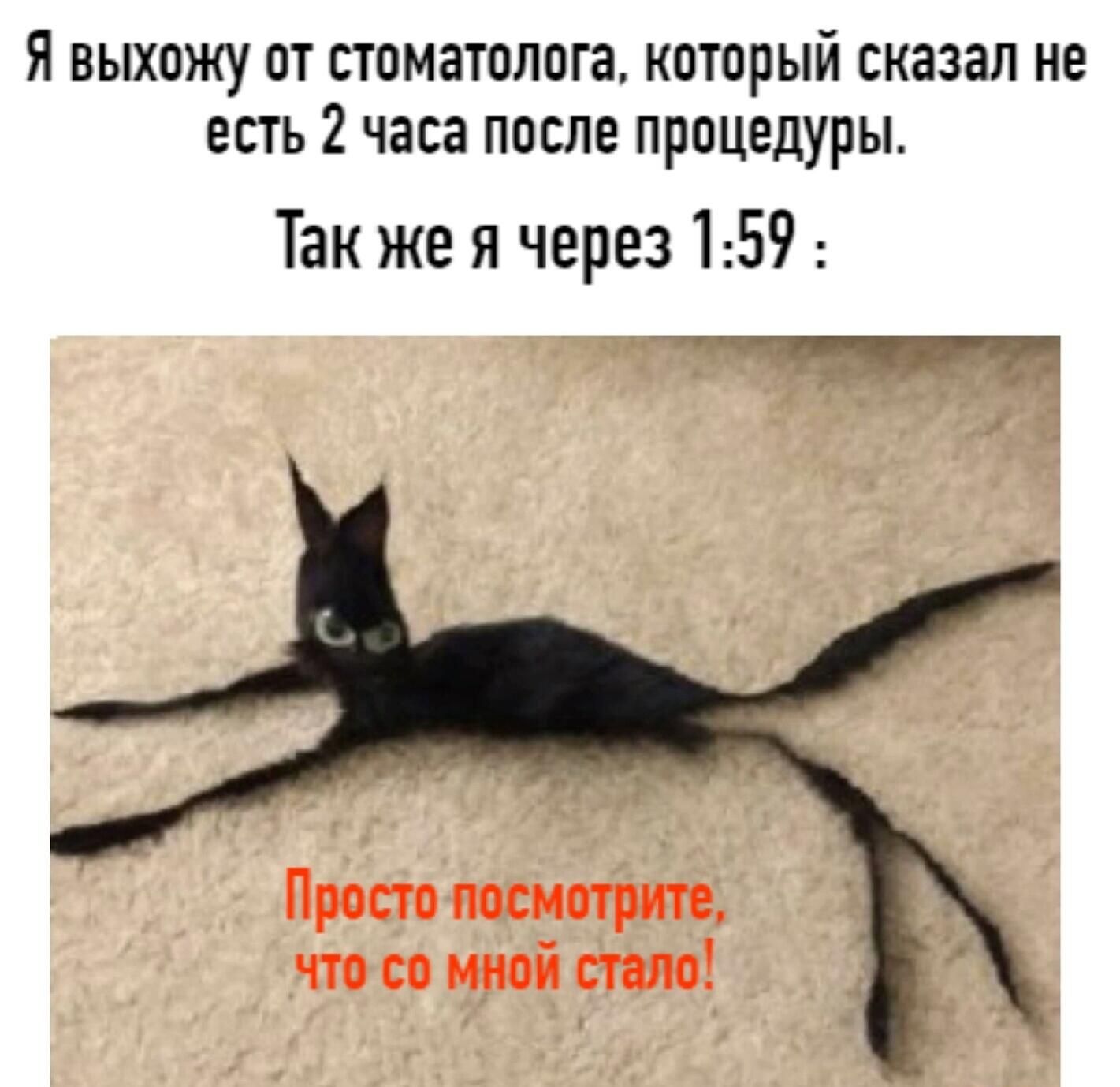 Я выхожу от стоматолога который сказал не есть 2 часа после процедуры Так же я через 159