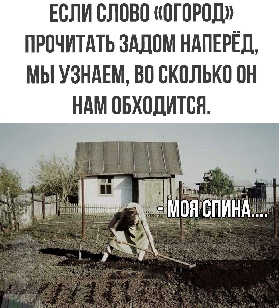 ЕСЛИ ЕЛОВО ОГОРОД ПРОЧИТАТЬ ЗАДОМ НАПЕРЁД МЫ УЗНАЕМ ВО СКОЛЬКО ОН НАМ ОБХОДИТОЯ