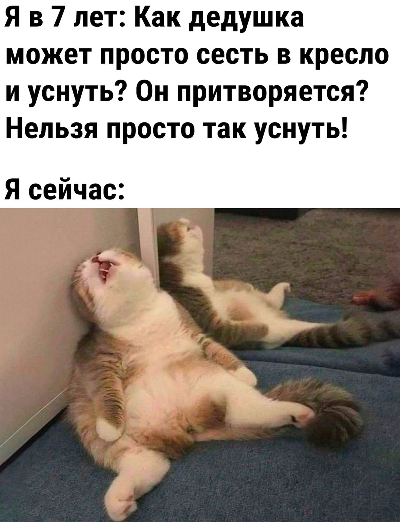 Я в 7 лет Как дедушка может просто сесть в кресло и уснуть Он притворяется Нельзя просто так уснуть я сейчас