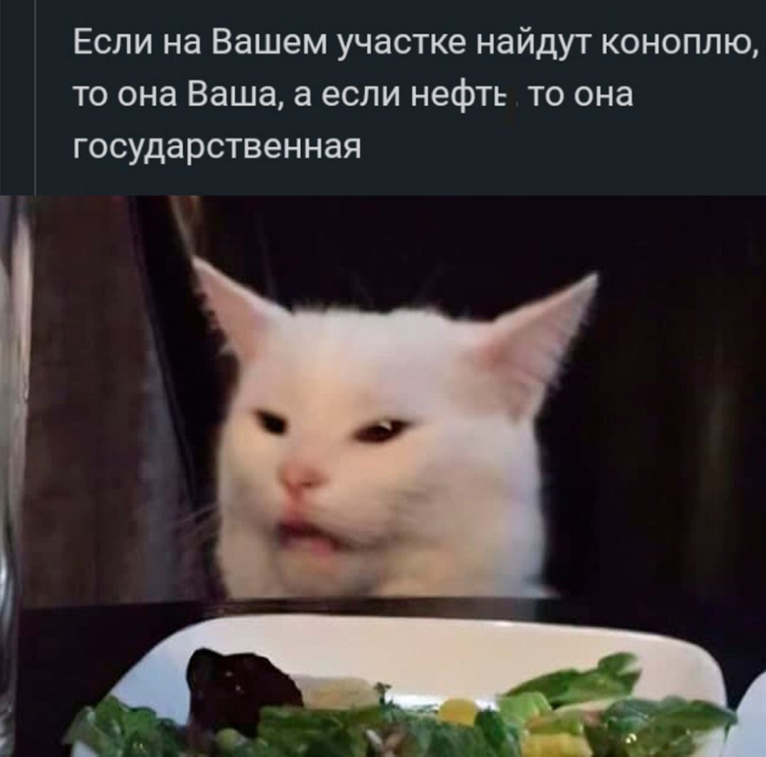Если на Вашем участке найдут коноплю то она Ваша а если нефть то она государственная