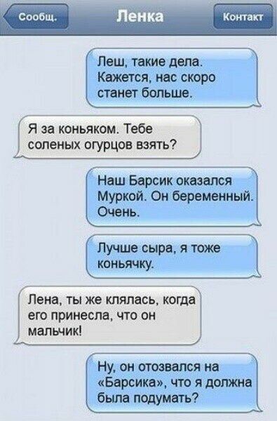 Леш такие дані Кажется нас скоро станет больше я за коньяком Тебе соленых огурцов взять Наш Барсик оказался Муркой Он беременный Очень Лучше сыра я тоже коньячку Папа ты же клялись тогда его принесла что он малыш Ну он ответя на Барсик что я должна была подумать