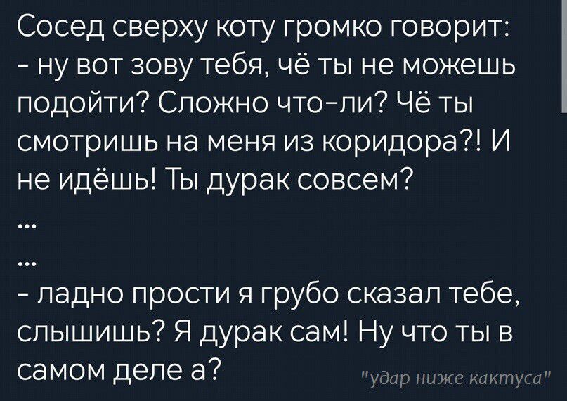 Сосед сверху коту громко говорит ну вот зову тебя чё ты не можешь подойти Сложно чтоли Чё ты смотришь на меня из коридора И не идёшь Ты дурак совсем ладно прости я грубо сказал тебе слышишь Я дурак сам Ну что ты в самом деле а