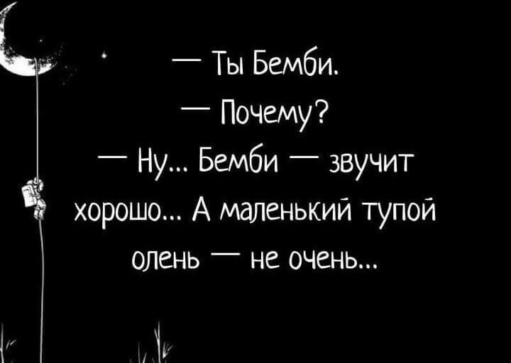 Ты Бемби Почему _ Ну Бемби _ звучит хорошо А маленький тупой олень не очень