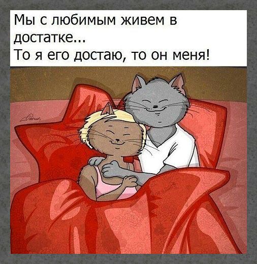 Мы с любимым живем в досгатке То я его достаю то он меня