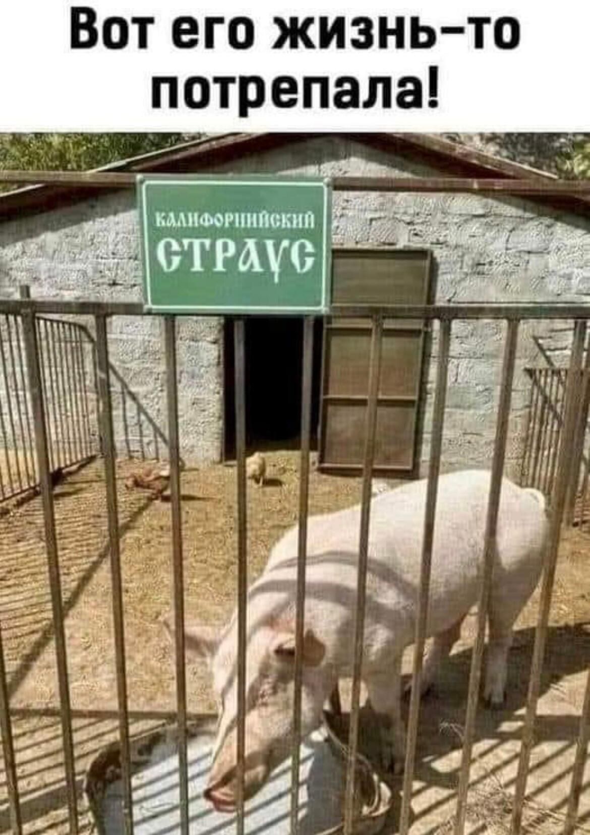 о _ в ни 3 им жи ЮТ ем 0 В