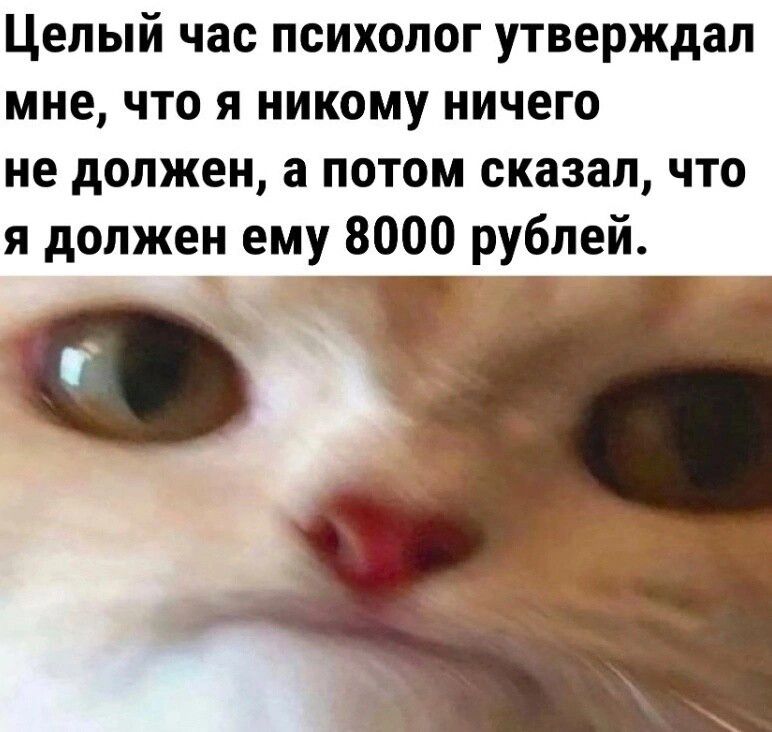 Целый час психолог утверждал мне что я никому ничего не должен а потом сказал что я должен ему 8000 рублей от