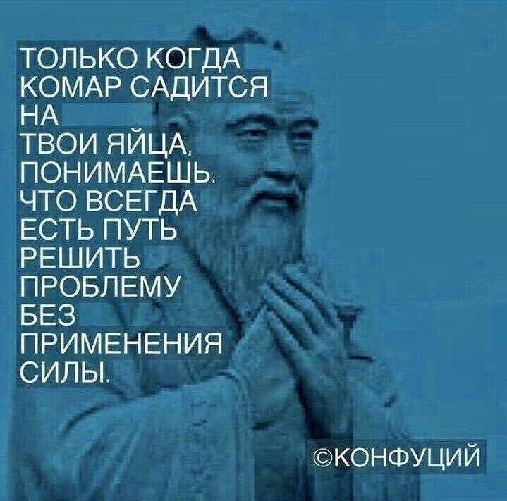 только КОГДА КОМАР САДИТСЯ НА _ твои ЯИЦА пониммгшь что ВСЕГДА ЕСТЬ путь РЕШИТЬ провлвму ввз ПРИМЕНЕНИЯ силы К0НФУЦИЙ