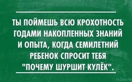 ТЫ ПОЙМЕШЪ ВСЮ КРОХОТНОСТЪ ГОДАМИ НАКОПЛЕННЫХ ЗНАНИЙ И ОПЫТА КОГДА СЕМИЛЕТНИЙ РЕБЕНОК СПРОСИТ ТЕБЯ ПОЧЕМУ ШУРШИТ КУЛЕК