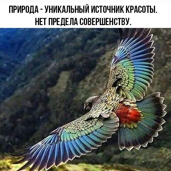 ПРИРОДА УНИКАЛЬНЫЙ ИСТ0ЧНИК КРАСОТЫ _ НЕТ ПРЕДЕЛА ШВЕРШЕНЕТВУ