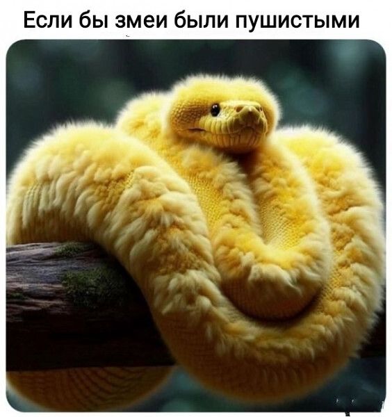 Если бы змеи были пушистыми