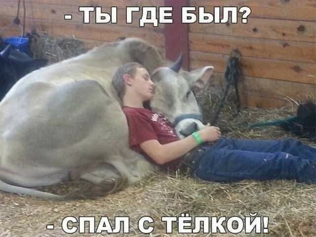 _ЁдЕ вып