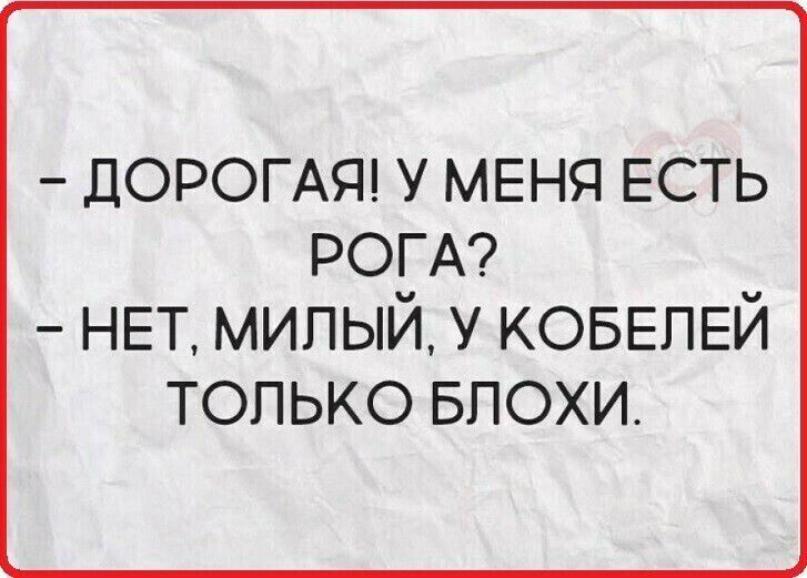 _ ДОРОГАЯ У МЕНЯ ЕСТЬ РОГА НЕТ милый у КОБЕПЕЙ только БПОХИ