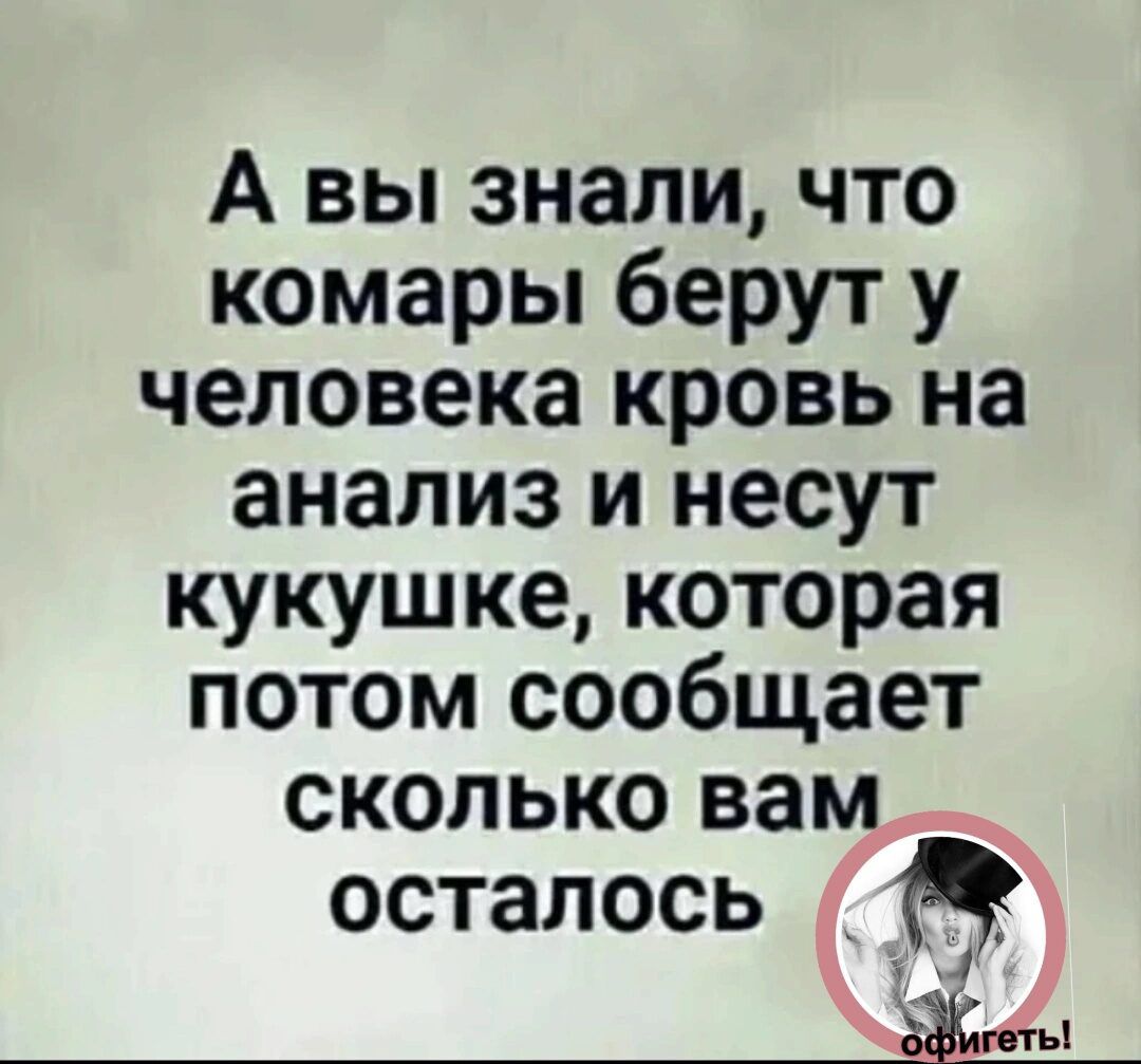 А вы знали что комары берут у человека кровь на анализ и несут кукушке которая потом сообщает сколько вам осталось 1 ы