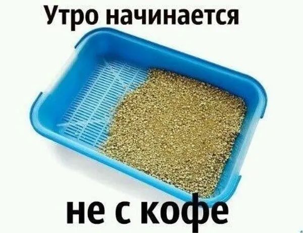 Утро начинается