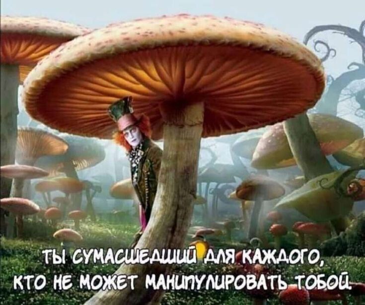 КТ МБ МОЖёт ЩНШУШРОВАТЬ ШОБ