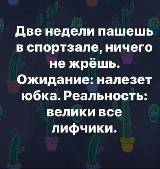 две недели пашешь в спортзале ничего не жрёшь Ожидание налезет юбка Реальность велики все лифчики