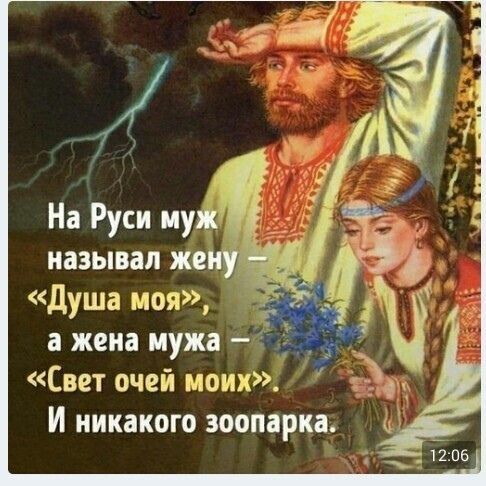 Душа моя а жена мужа Свет очей моих И никакого зоопарка