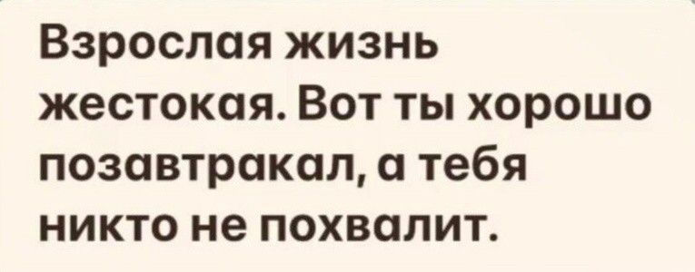 Взрослая жизнь жестокая Вот ты хорошо позавтракал тебя никто не похвалит