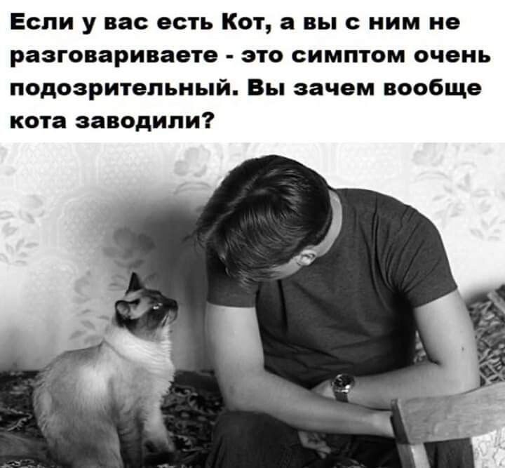 Если у вас есть Кот и вы с ним но разювариваете это симптом очень подозрительны Вы зачем вообще кота заводили