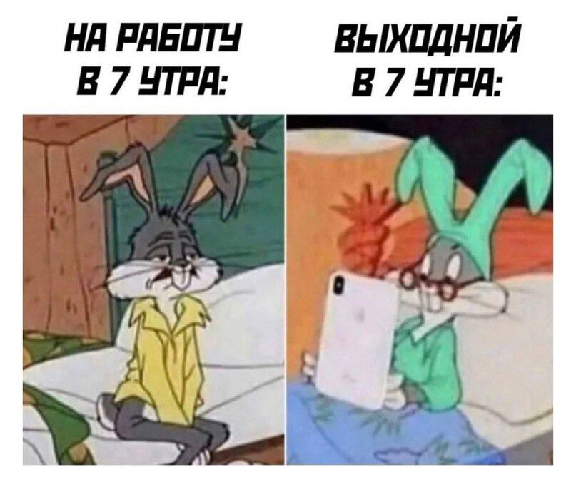 вьшшнпй в 7 итд