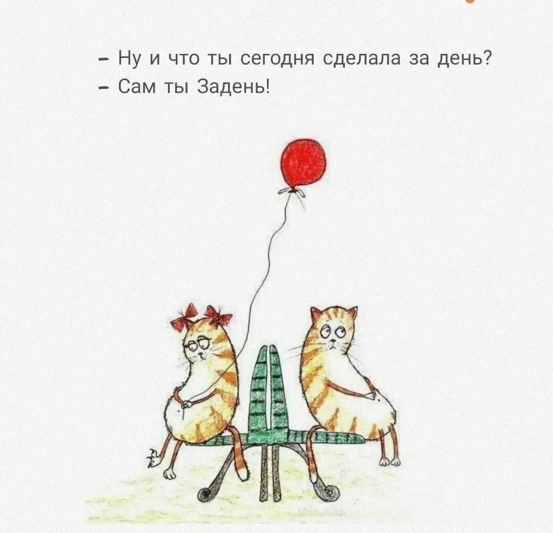 Ну и что сегодня сделала за день Сам ТЫ Задень