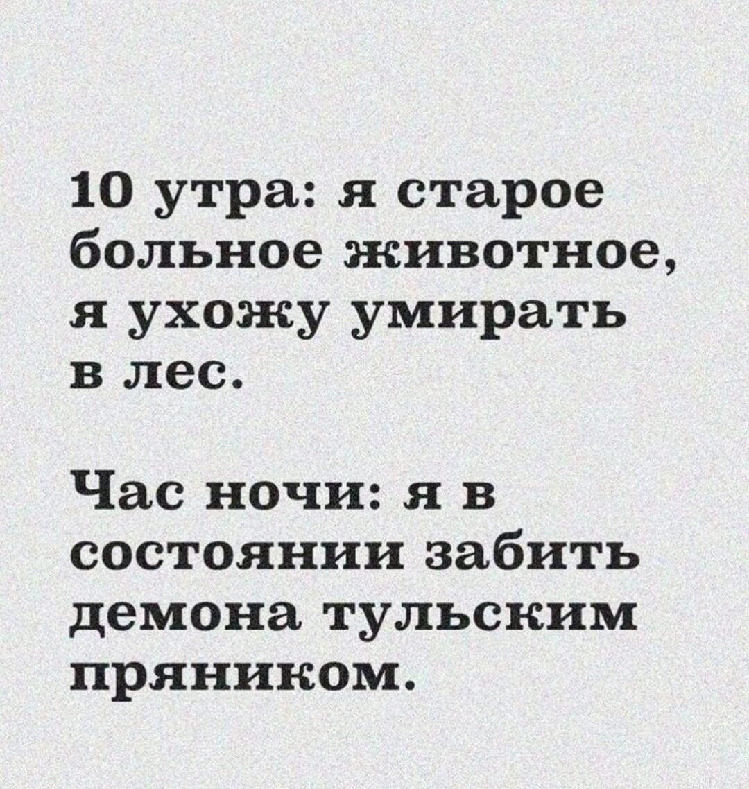 10 утра я старое больное животное я ухожу умирать в лес Час ночи я в состоянии забить демона тульским пряником