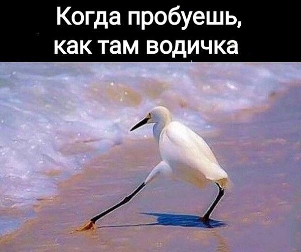 Когда пробуешь как там водичка