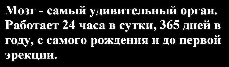 Мозг самый удивительный орган Работает 24 часа в сутки 365 дней в году с самого рождения и до первой эрекции