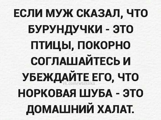 если муж смздл что БУРУНдУЧКИ это птицы покорно СОГЛАШАЙТЕСЬ и УБЕЖДАЙТЕ его что норковм ШУБА это дОМАШНИЙ ХАЛАТ