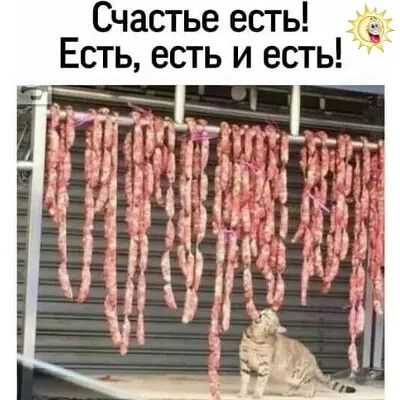 Счастье есть Есть есть и есть