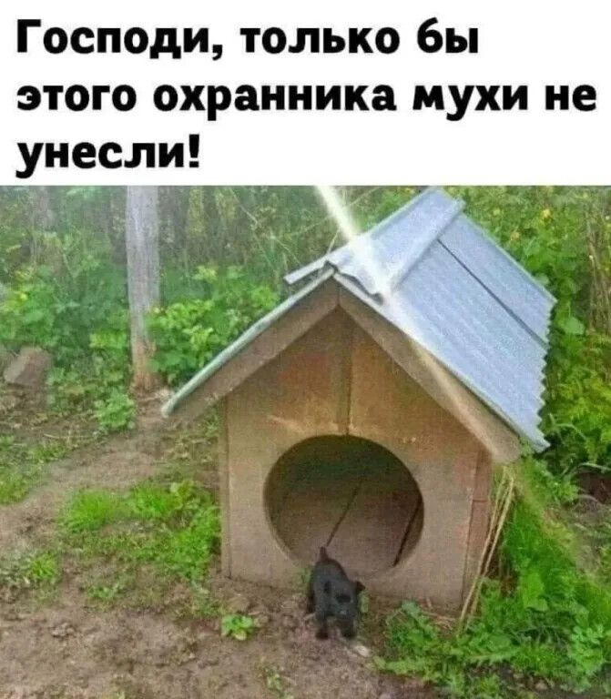 Господи только бы этого охранника мухи ие унесли