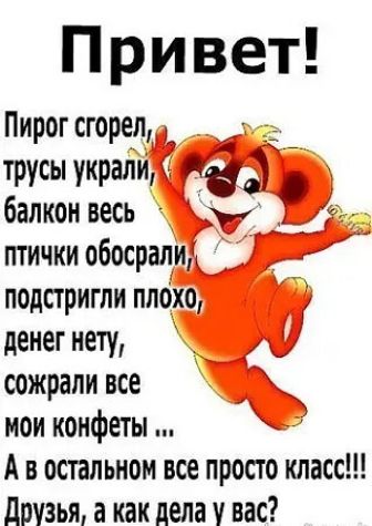Привет Пирог сгорел трусы украли Нд балкон весь птички обосралилу подстригли плохо и денег нету _ сожрали все мои конфеты А в остальном все просто класс друзья а как дела у вас