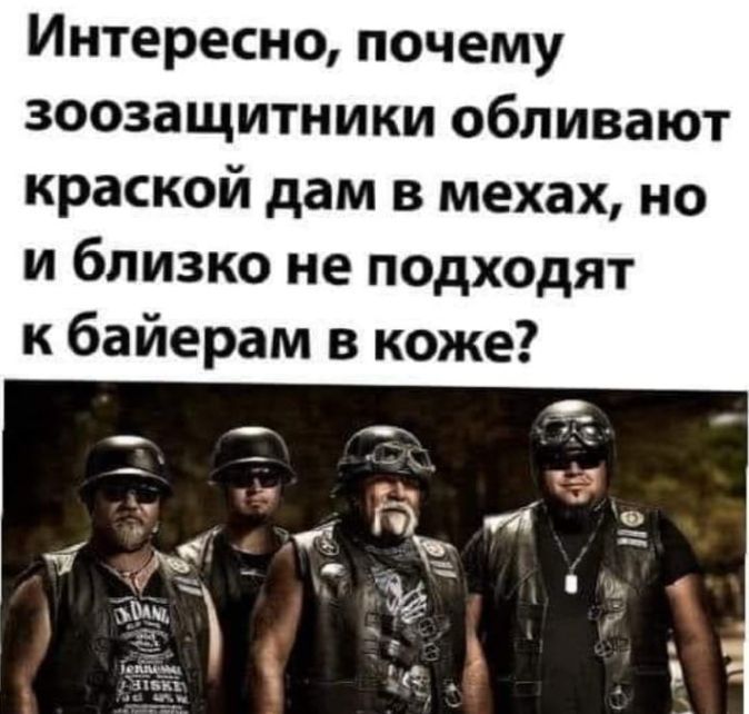 Интересно почему зоозащитники обливают краской дам в мехах но и близко не подходят к байерам в коже