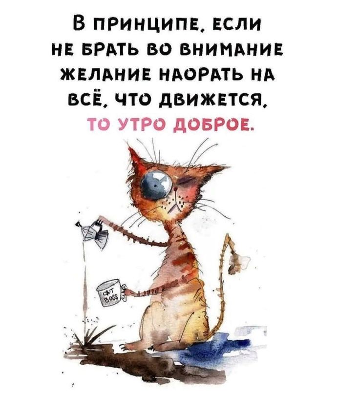 В принципе ЕСЛИ нв вить во внимднив жвлднив ндогмь нА всЁ что движпся ТО УТРО дОБРОЕ км